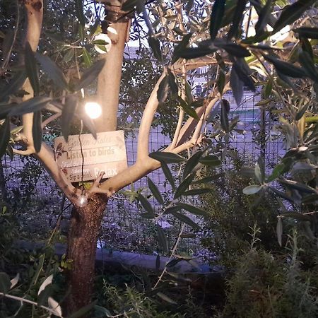 Apartmán Casita Esperanza Copparo Exteriér fotografie