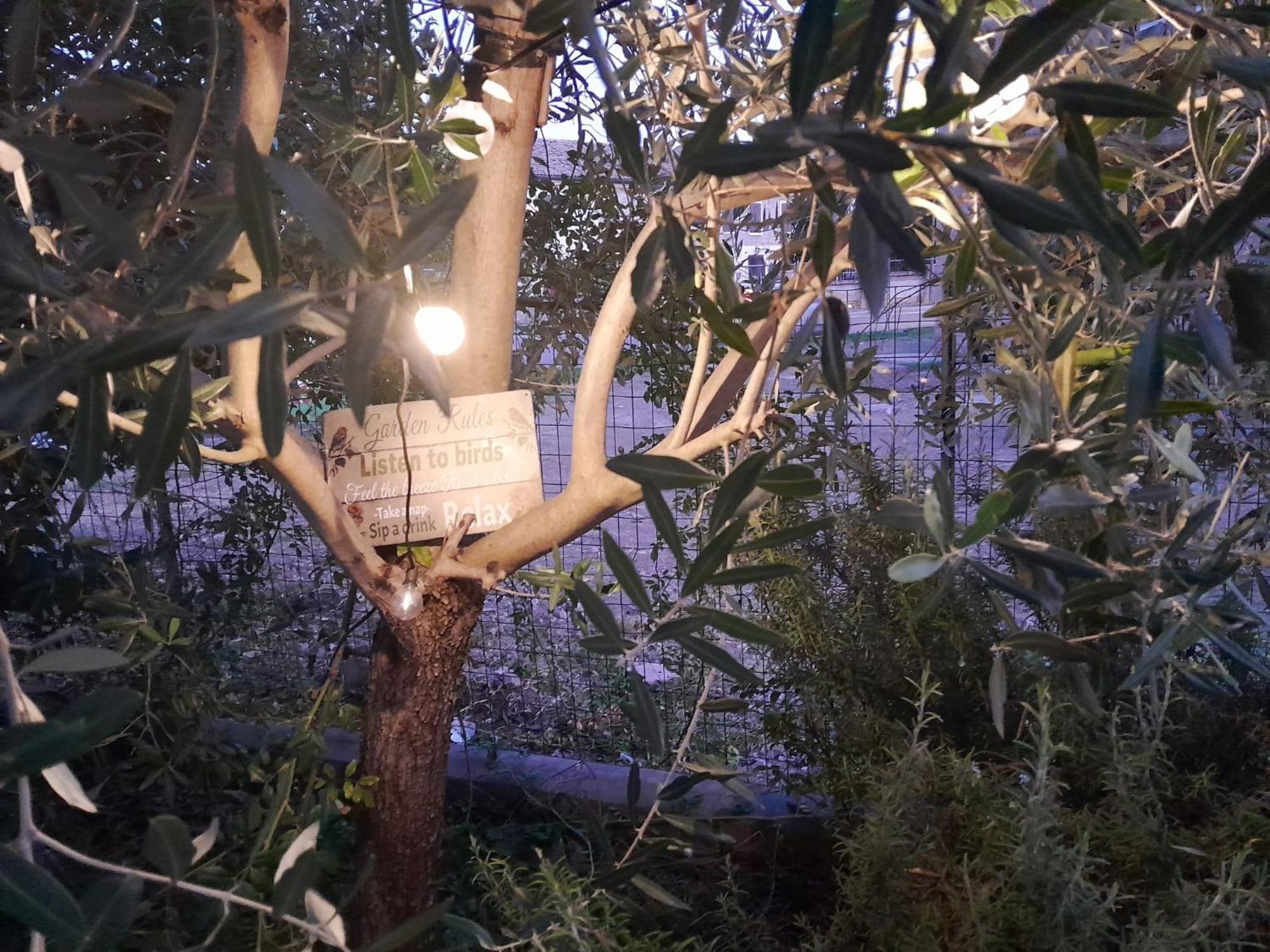 Apartmán Casita Esperanza Copparo Exteriér fotografie